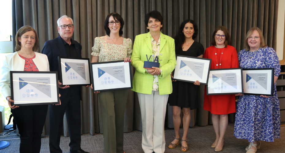 Carewell VIA award